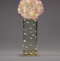 Guirnalda de luces LED de hadas - Elección de blanco cálido o blanco - Guirnalda - Impermeable