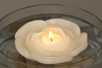 Bougies flottantes à fleurs de 3,75 po. Ensemble de 3 non parfumées